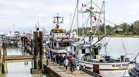 View of ships on the dock in Steveston for Richmond Maritime Festival.