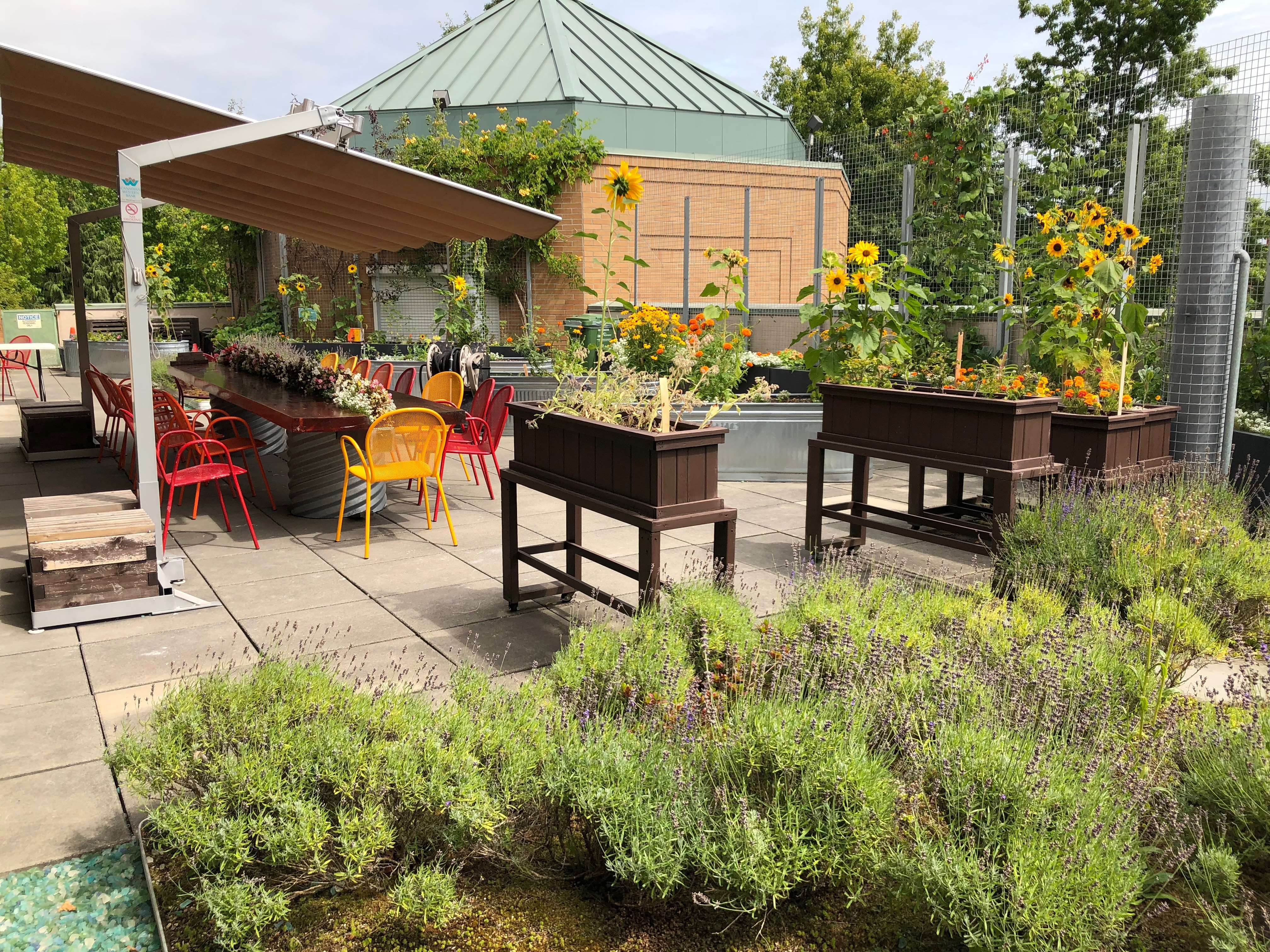 City of Richmond BC - Cultural Centre Rooftop Garden