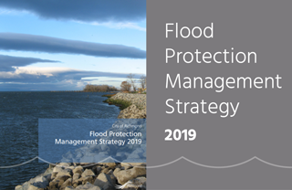 Read the Flood Protection Management Strategy