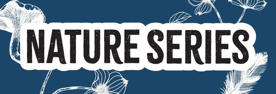 Hero Banner - Nature Series