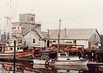 Port Alberni Camp - Thumbnail Photograph