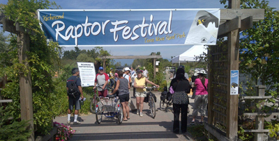 Raptor Festival