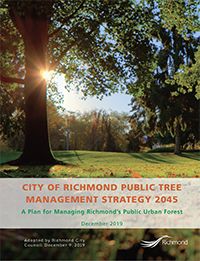 Revised Public Tree Strategy Cover