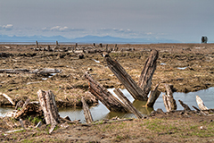 Sturgeon Banks