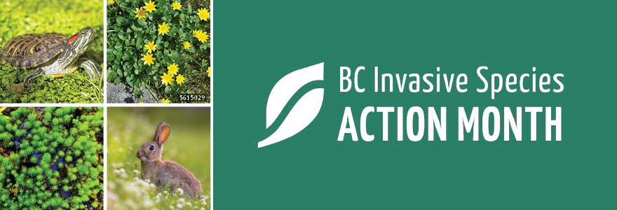 Invasive Species Action Month