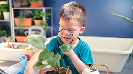 Young boy looking at a plant with a magnifying glass