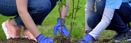 Environmental Enhancement Grant - web banner