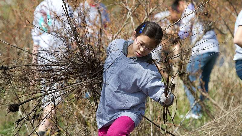 Environmental Enhancement and Food Security Grant
