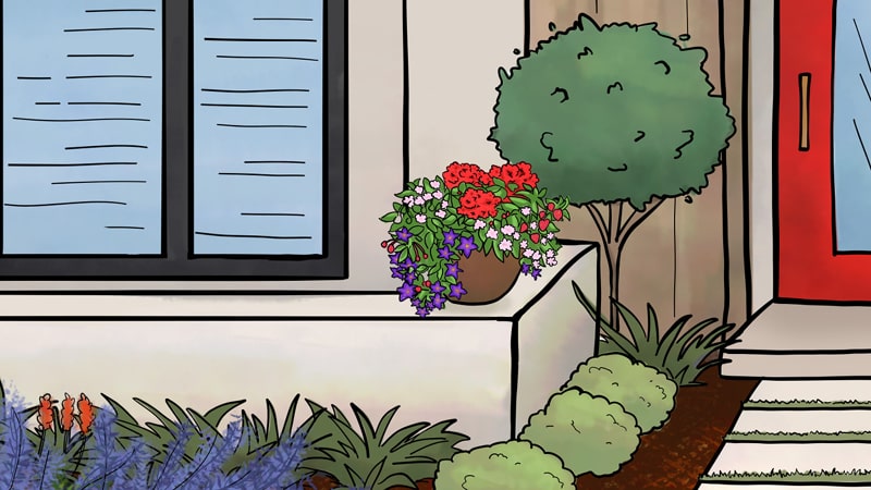 Infographic depicting potted plants