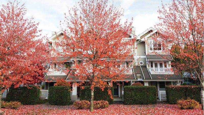 View of  houses on a street in fall
