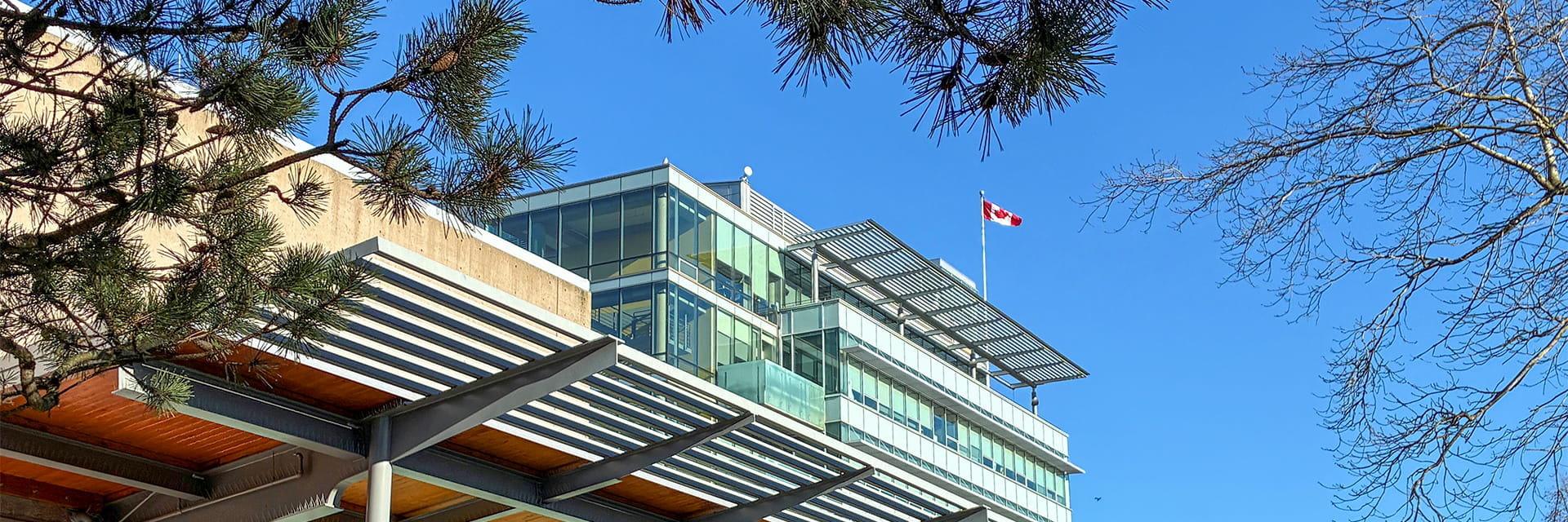 View of the south side of City hall tower on a sunny winter day