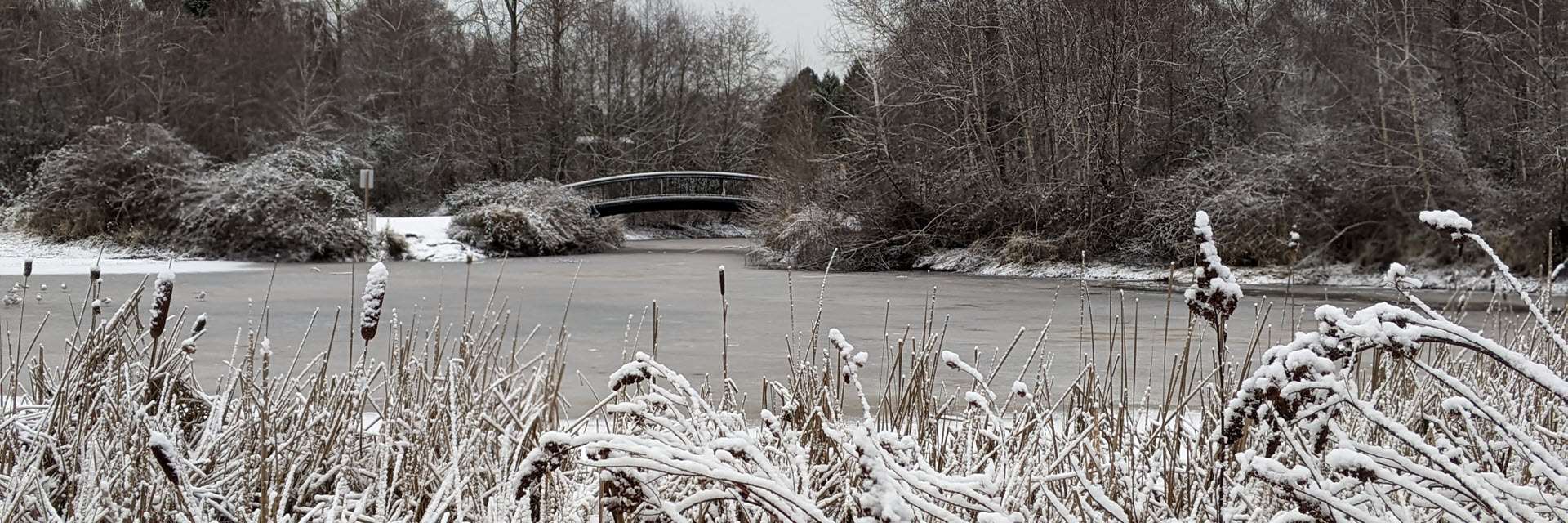 View of the bridge at Garden City Park in the snow