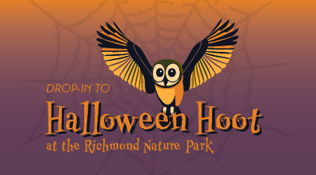 Event advertising with owl on Halloween background