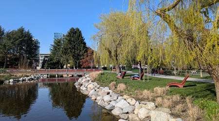 View of people enjoying Minoru Lake Park in spring