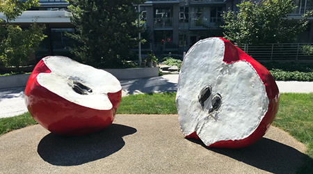 Public art - 2 Half Apples found in Capstan Village. Gathie Falk, 2020.