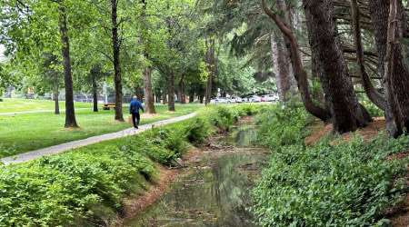 View of the drainage channel south of Minoru Lakes