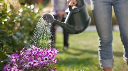 View of a person watering their yard with a watering can