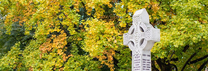 Remembrance Day - Cenotaph