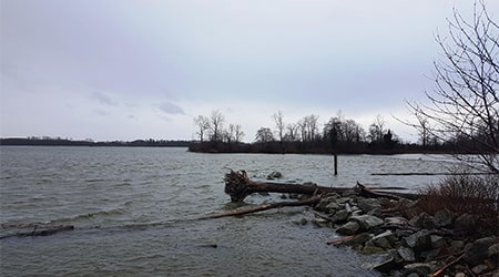 View of the Fraser River from the south dike