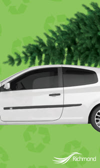 christmas tree on car