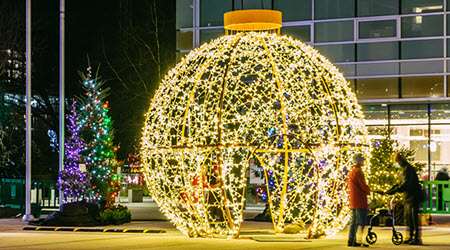 Winter Wonderland lights outside City Hall