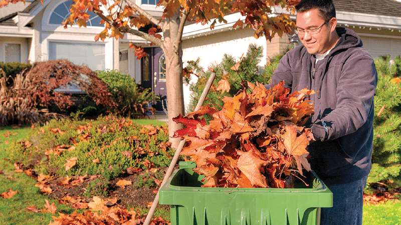 man placing leaves in green cart