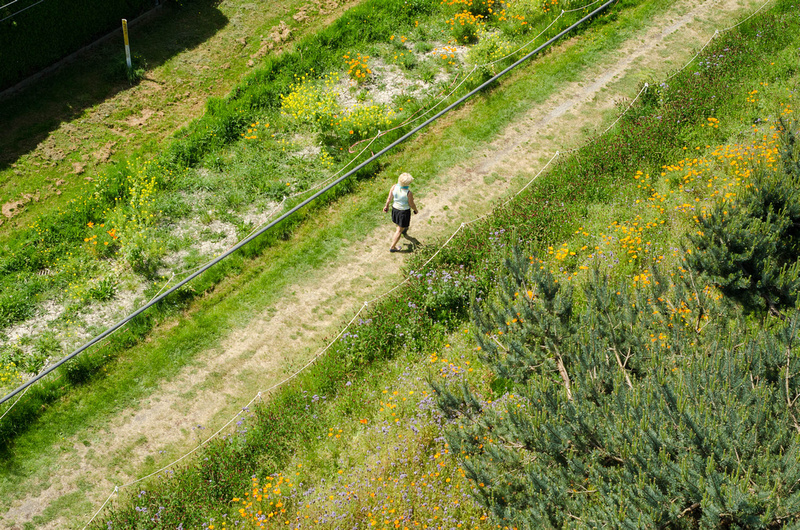 Aerial view of Bridgeport Trail