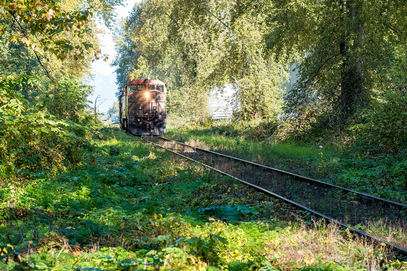 Train tracks and trees at Horseshoe Slough