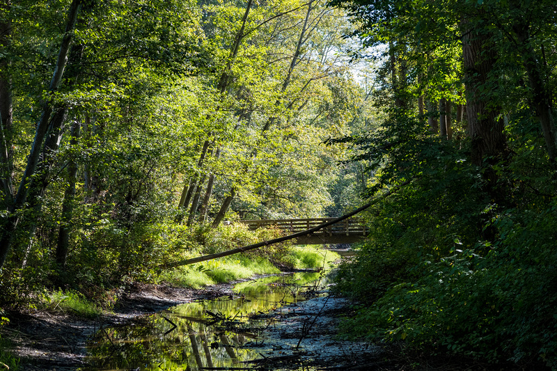 View from bridge down the slough