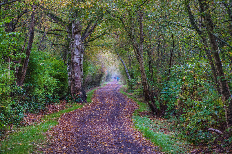 Find a Park - Shell Road Recreational Trail - City of Richmond BC