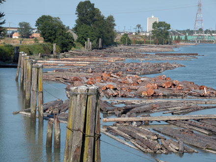 View from Mitchell Island Pier looking west