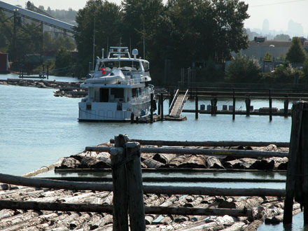 View from Mitchell Island Pier looking east